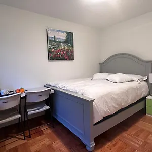 Airnest Vancouver